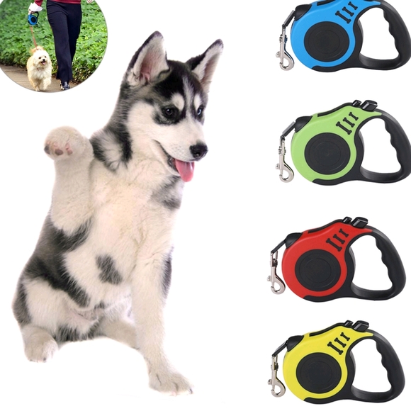 Red and Black Retractable Dog Leash - Picture 7 of 10